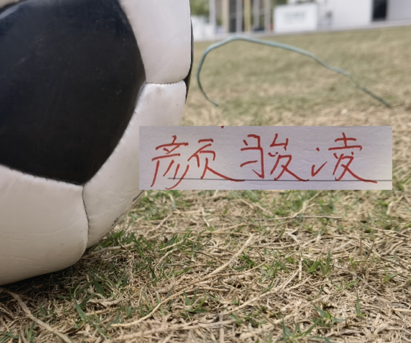 开云电竞官网-虽然被喀麦隆上课！但中超豪门球员发挥也给力 颜骏凌多次有神扑